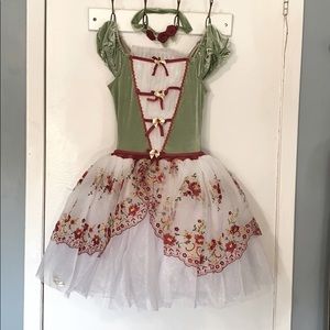 Gorgeous Ballet Costume (Gingerbread Dance)